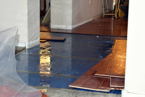 Professional Basement Flood Cleanup technician working in Central, LA